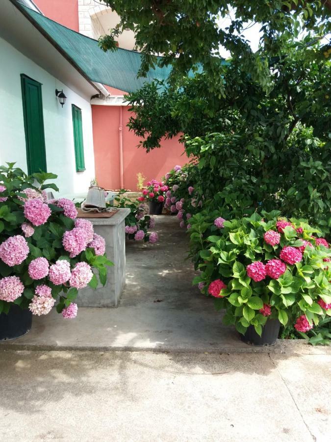 Apartmani Ana Bibinje Exterior foto